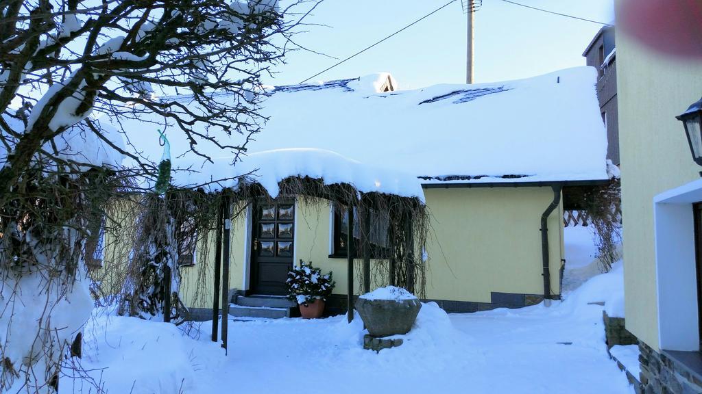 Ferienhaus Riedl Klingenthal Eksteriør billede